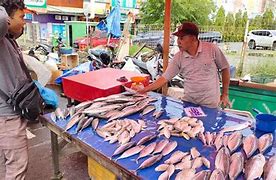 Orang Ikan Kapan Tayang Di Indonesia